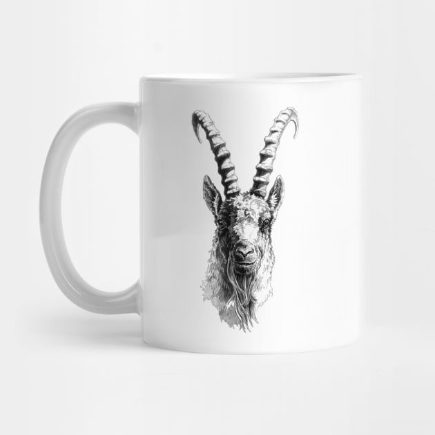 Capra Ibex head by SakalDesign